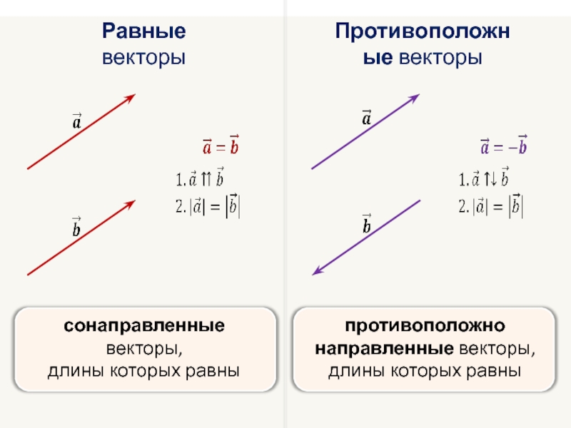 Равные векторы