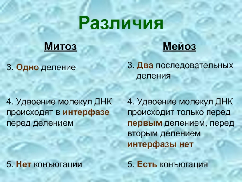 В процессе амитоза происходит неравномерное распределение