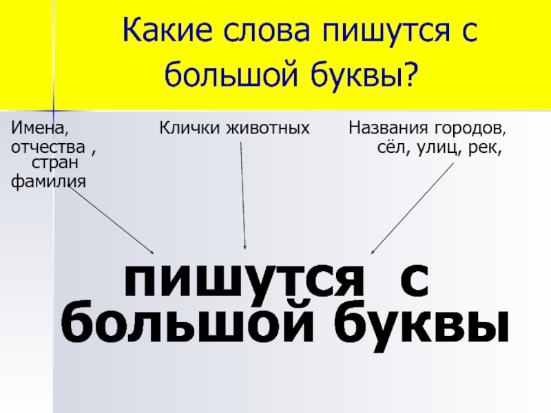 Как пишется федеральный проект с большой или маленькой буквы