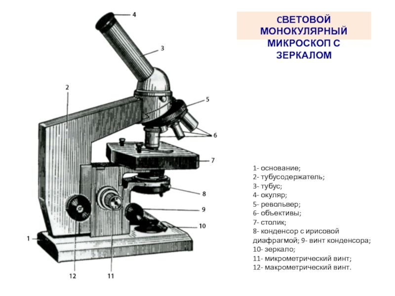 Объектив микроскопа рисунок. Световой микроскоп Биолам строение. Световой микроскоп строение конденсор. Конденсор и диафрагма микроскопа. Конденсор в микроскопе строение микроскопа.