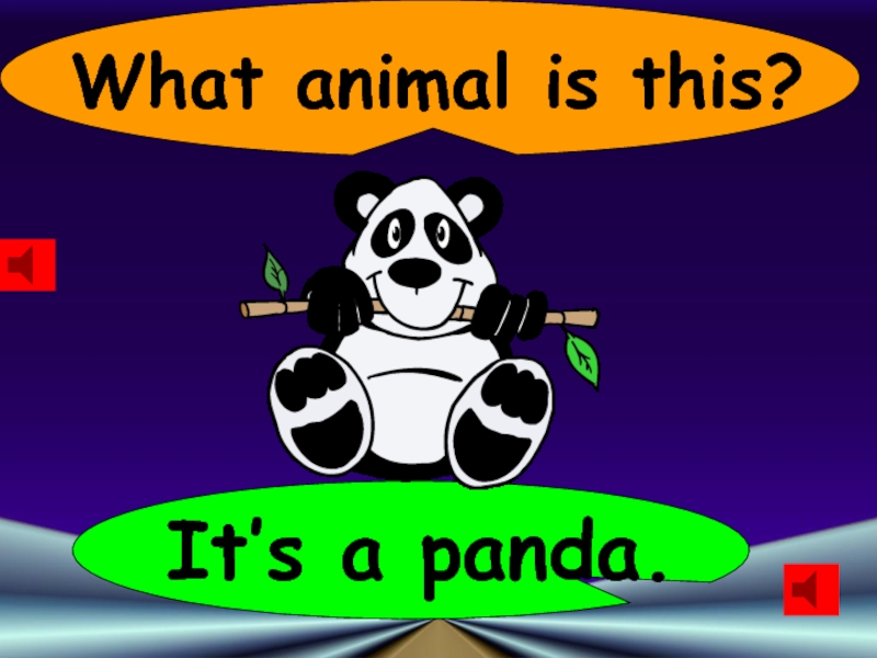 What animal is this?It’s a panda.