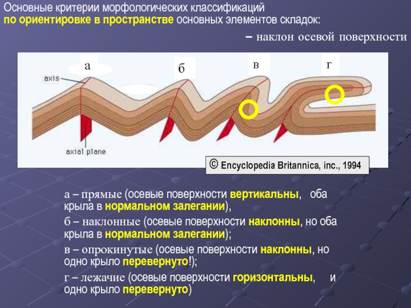 Сопоставьте элементы рисунка а б в г с типами складок по положению крыльев