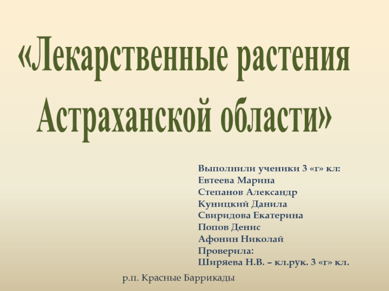 Презентация Лекарственные растения Астраханской области 3 класс