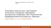 Анатомия поясничного, крестцового сплетений. Синдромы поражения. Туннельные