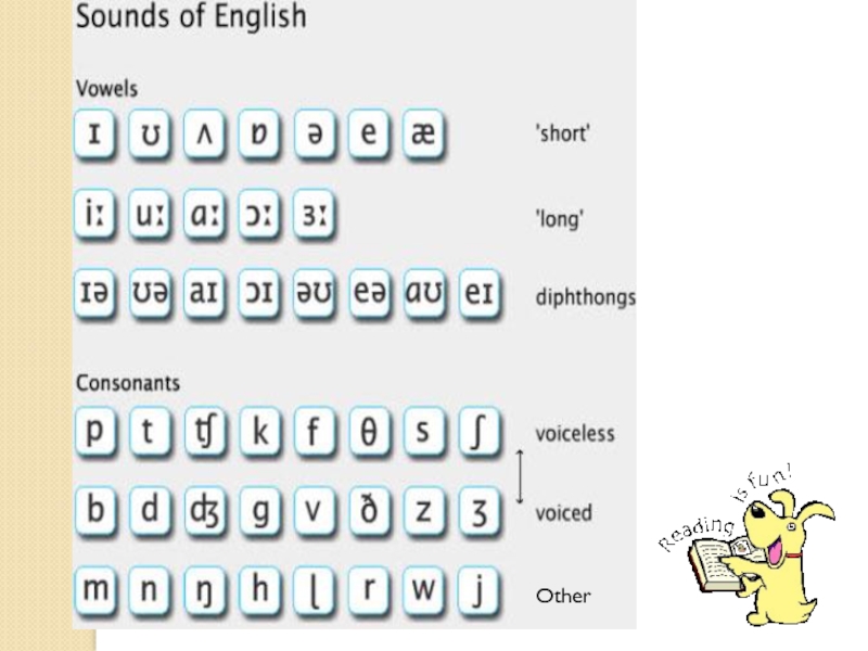 English sounds. Карточки английский consonants. Consonants and Vowels в английском языке. English Vowel Sounds. Vowel and consonant Sounds.