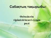 ?сімдікті? тіршілігіндегі суды? р?лі.