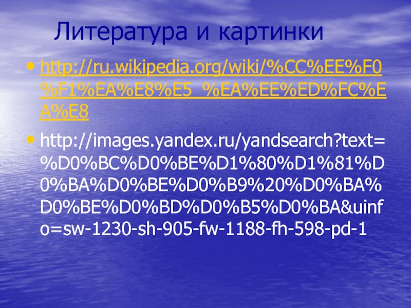 Литература и картинкиhttp://ru.wikipedia.org/wiki/%CC%EE%F0%F1%EA%E8%E5_%EA%EE%ED%FC%EA%E8http://images.yandex.ru/yandsearch?text=%D0%BC%D0%BE%D1%80%D1%81%D0%BA%D0%BE%D0%B9%20%D0%BA%D0%BE%D0%BD%D0%B5%D0%BA&uinfo=sw-1230-sh-905-fw-1188-fh-598-pd-1