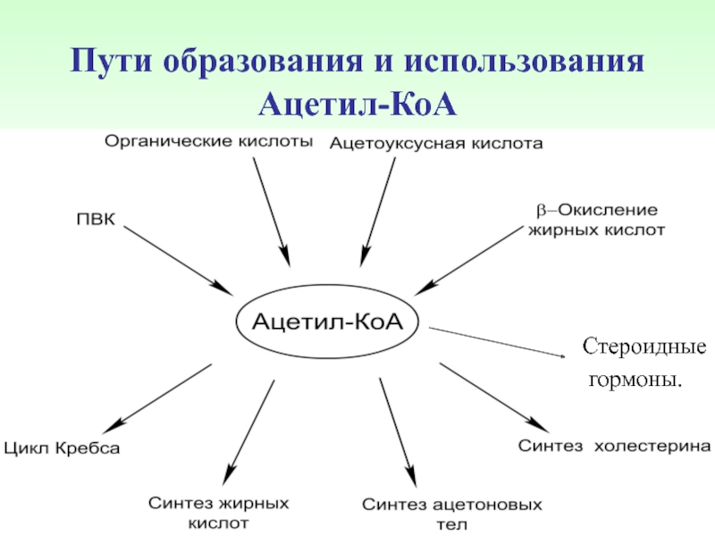 Составьте схему иллюстрирующую