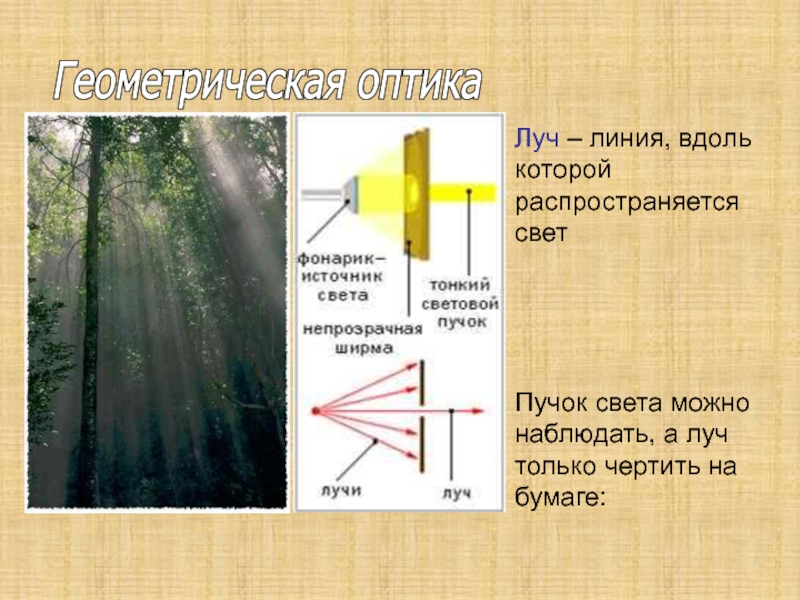 Прямолинейное распространение света презентация 8 класс физика