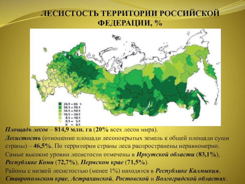 Карта с лесами