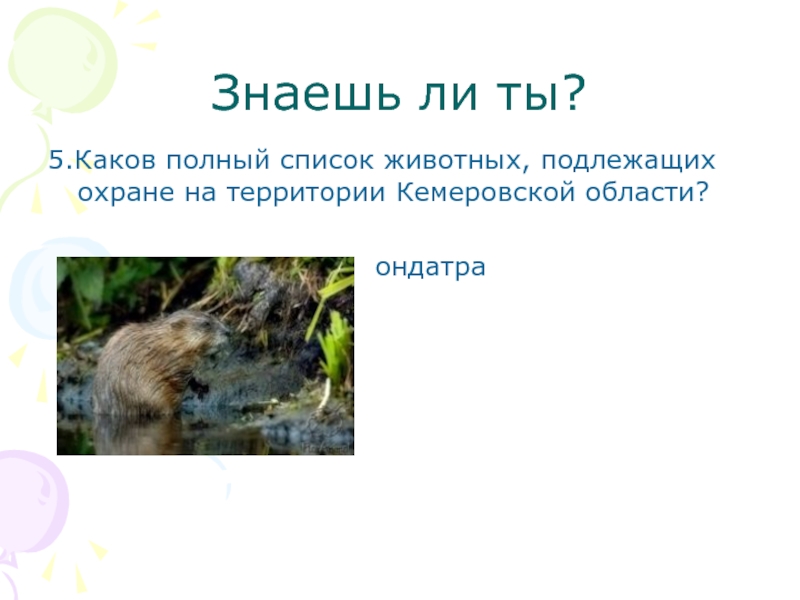 Знаешь ли ты?5.Каков полный список животных, подлежащих охране на территории Кемеровской области?
