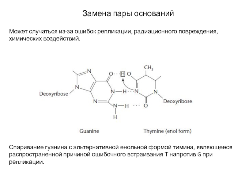 Смена пар. Пары оснований. Основание для пар. Замена пар оснований нонсенс.