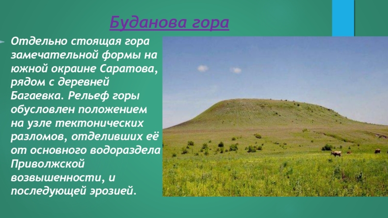 Особо стоит. Буданова гора Саратовская область. Буданова гора Багаевка. Будан гора Саратов. Рельеф Саратовской области горы.