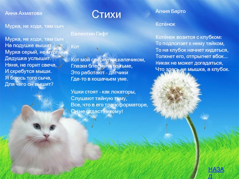 Главная мысль стихотворения котенок. Стихи про котят. Стих про котика. Стих про кошку и котят. Стих о коте.