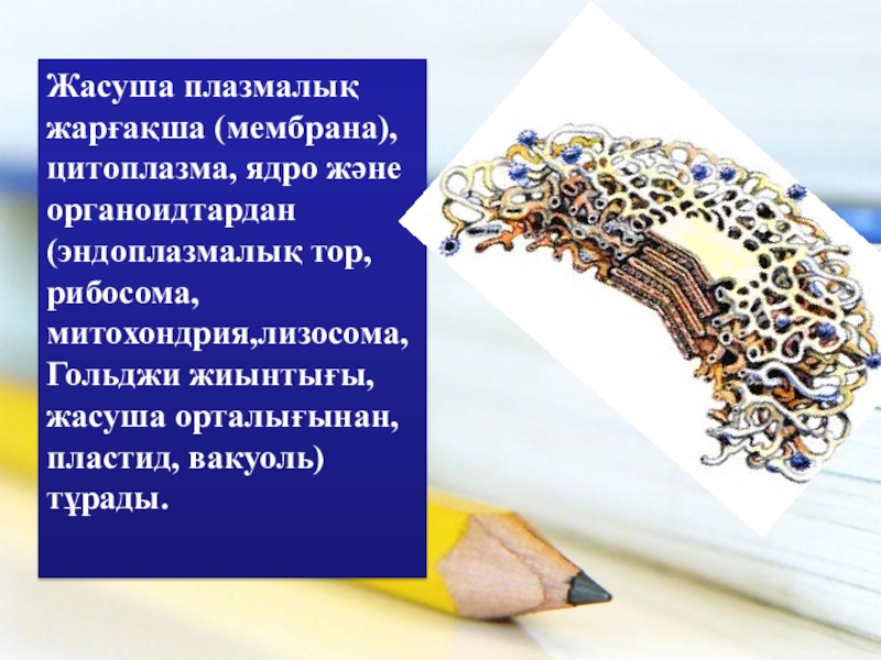 Плазмалық монитор дегеніміз не