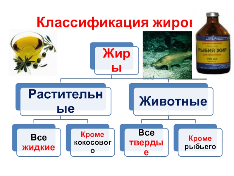 Сложные эфиры жиры мыла презентация