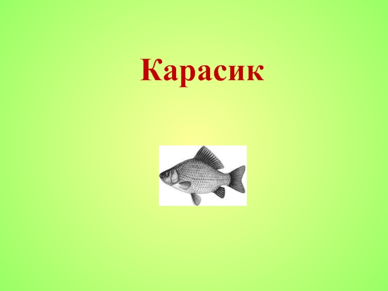 План к рассказу карасик