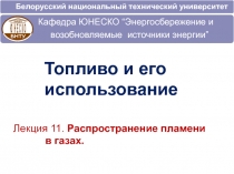 Лекция 11. Распространение пламени в газах