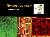 Покровные ткани