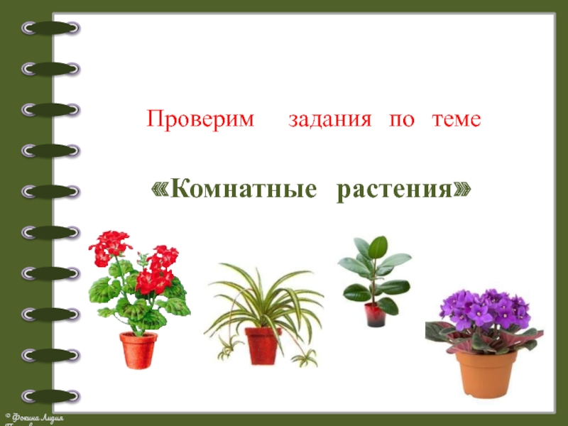 Комнатные растения 2 класс окружающий мир. Комнатные растения задания 2 класс. Комнатные растения задания для детей. Домашние цветы комнатные задания. Задания по комнатным растениям.