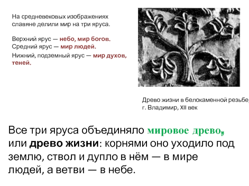 Древо жизни в белокаменной резьбе, г. Владимир, XII векНа средневековых изображениях славяне делили мир на три яруса.