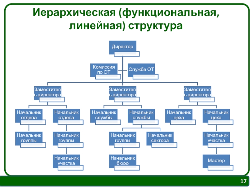 Иерархическая схема предприятия