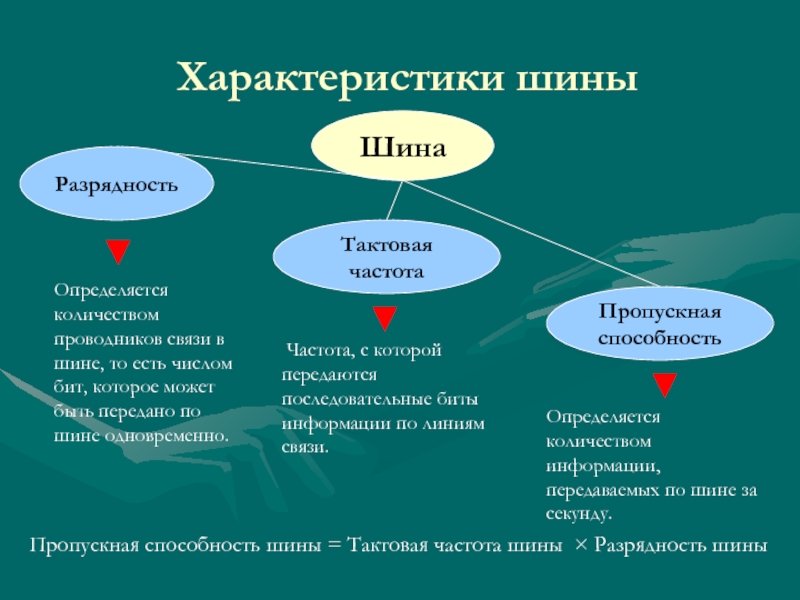 Знать характеристика. Характеристики шин ПК. 6. Перечислите основные характеристики шин ПК.. Структуры и стандарты шин. Перечислите основные характеристики шин ПК..