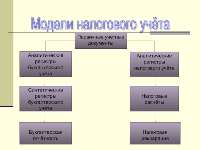 Налоговая организация. Модели налогового учета. Модел. Налогового учкт а. Модели ведения налогового учета. Первичные документы и учетные регистры.