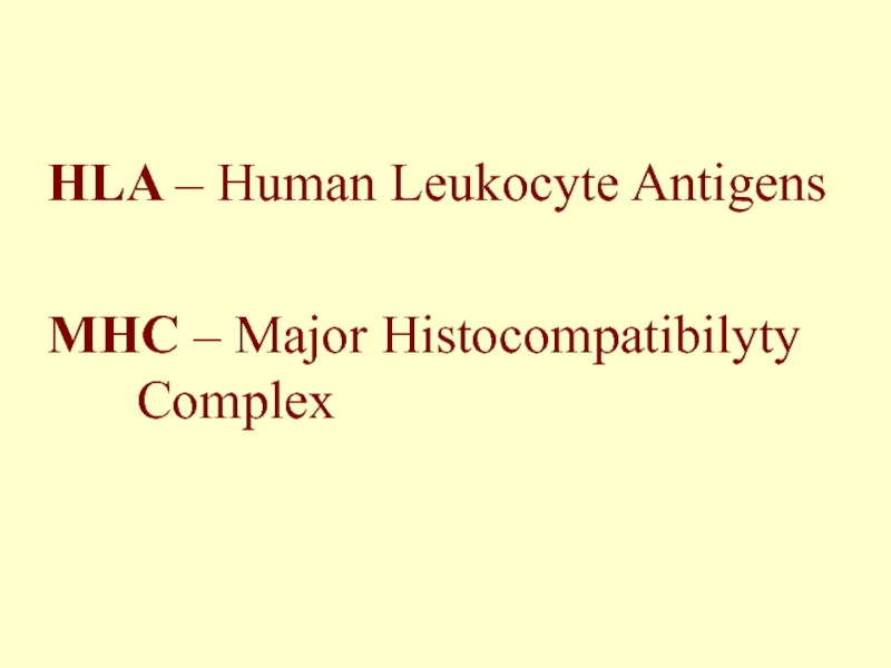HLA – Human Leukocyte AntigensMHC – Major Histocompatibilyty       		Complex