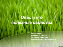 Исследовательская работа - Овес и его полезные свойства