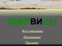 ПИНГВИНЫ. Всё о пингвинах. Пингвинарий. Пингвины