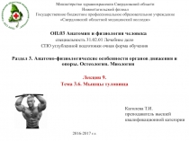 Министерство здравоохранения Свердловской области Нижнетагильский филиал