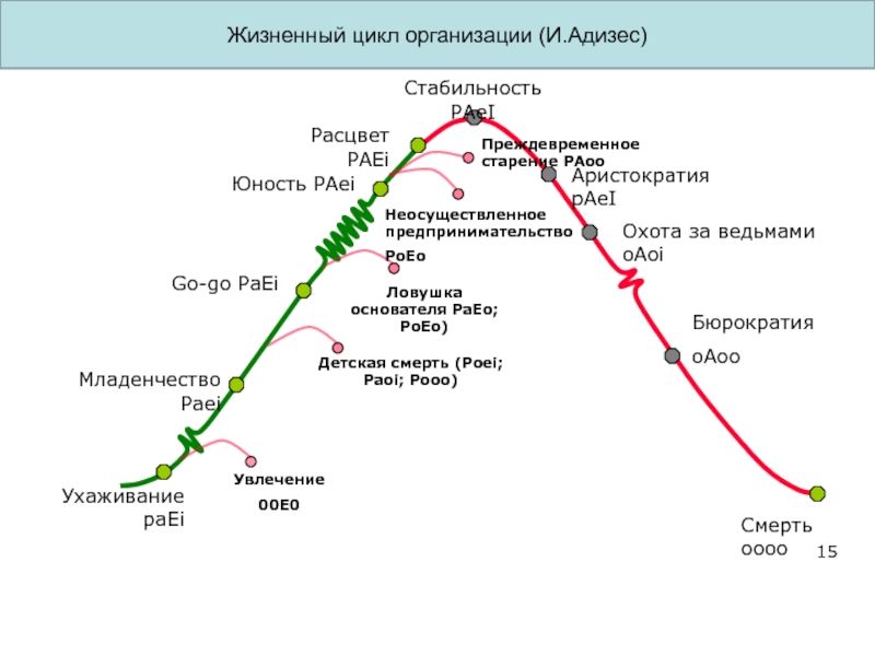 Цикл организации. Адизес жизненный цикл организации. Ицхак Адизес жизненный цикл организации. Адизес жизненный цикл paei. Жизненный цикл организации хадизиз.