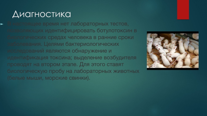 Как передается ботулизм каким путем. Симптомы ботулизма у животных. Ботулизм у животных презентация. Профилактика ботулизма у животных.