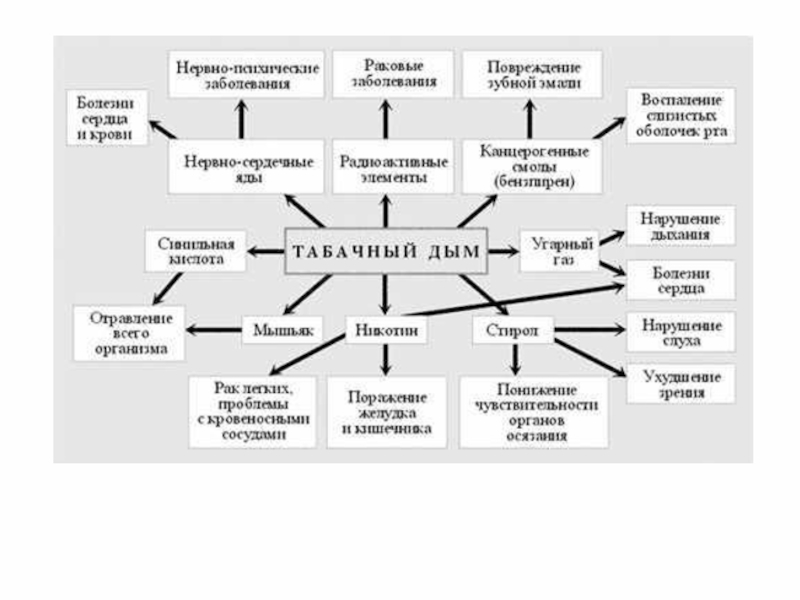 Основное влияние. Социально-экологические особенности демографии человечества. Социально-экологические особенности демографии человека. Социальные экологические особенности демографии человечества. Социально-географические особенности демографии человека.