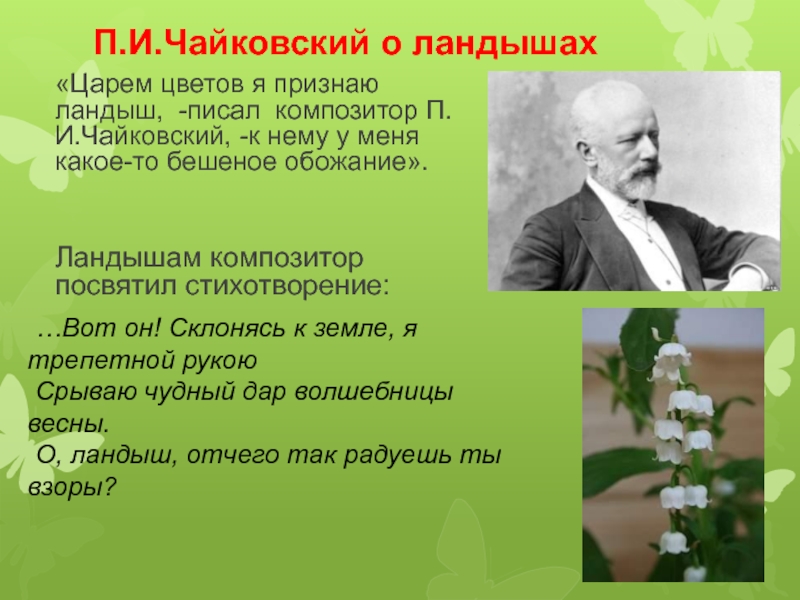 Цветов написала. Петр Чайковский Ландыш. Петр Чайковский стихи. Стихотворение Чайковского Ландыш. Стихи п и Чайковского.