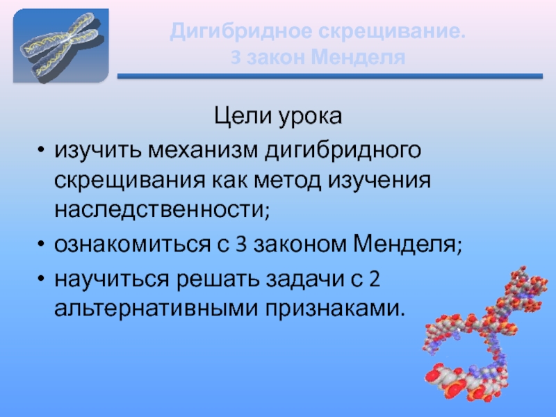 Дигибридное скрещивание третий закон менделя 10 класс презентация