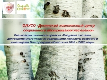 Реализация пилотного проекта Создание системы долговременного ухода за