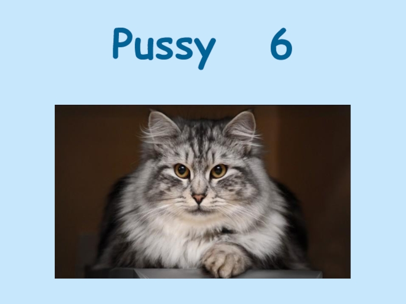 Pussy  6