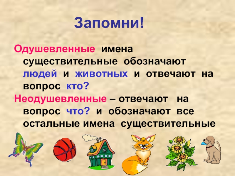 Имя существительное что обозначает имя существительное 3 класс презентация