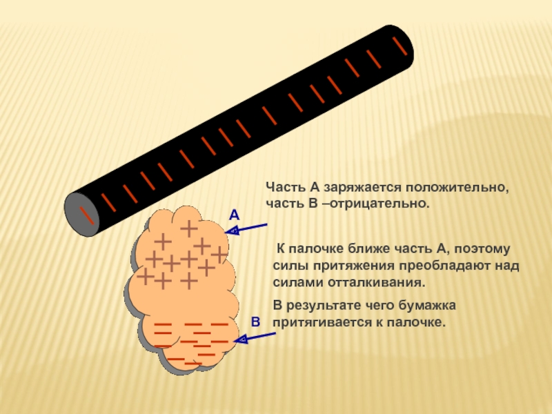 Положительно заряженной палочкой. Отрицательные палочки. Положительные и отрицательные палочки. Эбонитовая палочка заряжается отрицательно. Притягивается к заряженной палочке.