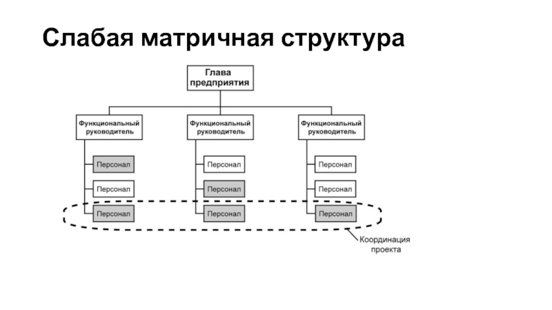 Сильная матричная структура проекта