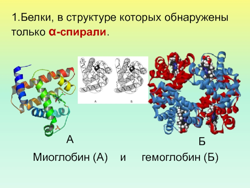 Первичная структура белка представляет собой. Перечислите структуры белка. Структурные белки. Структурный белок. Структура белка пищевого.