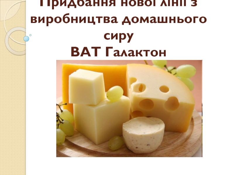 Придбання нової лінії з виробництва домашнього сиру ВАТ Галактон