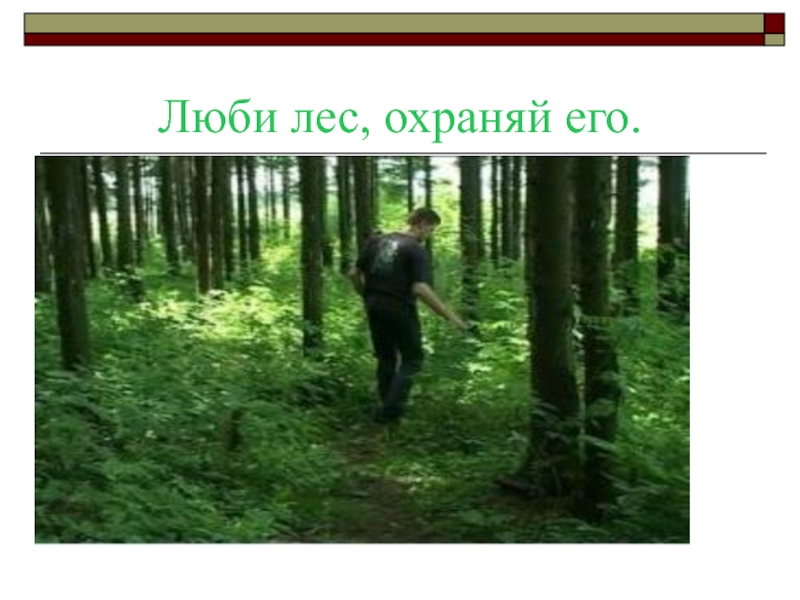 Человек который любит лес