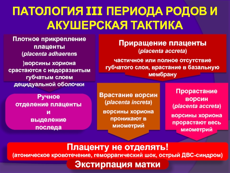 Патология 3