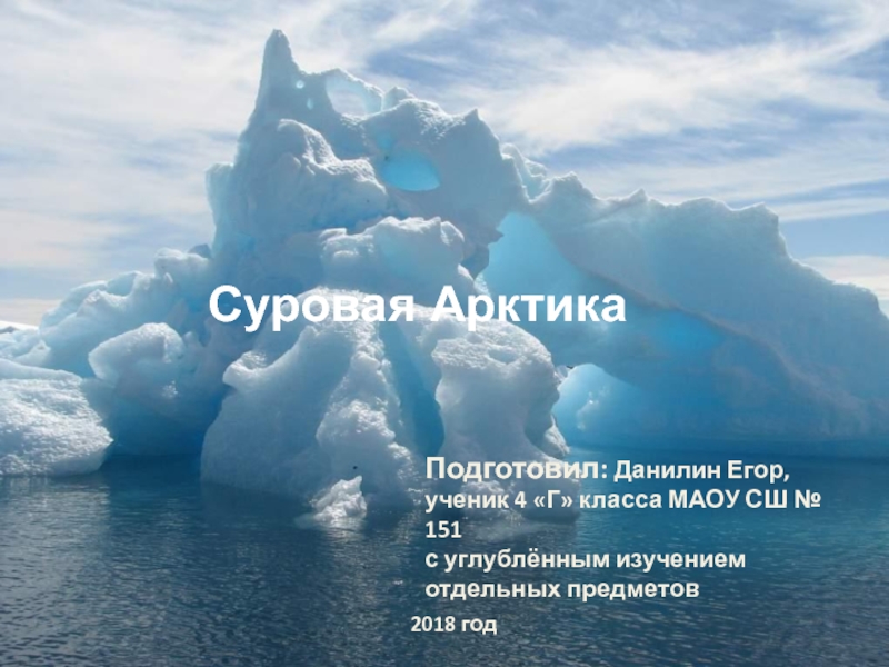 Презентация Суровая Арктика