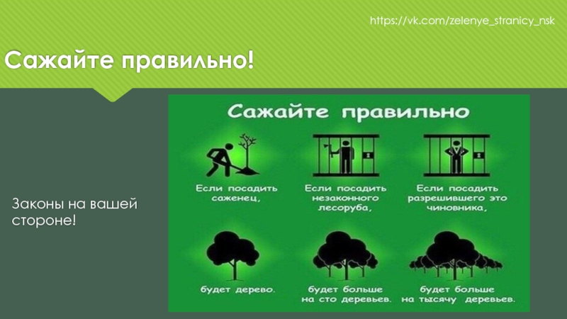 Кто победил черные или зеленые. Сажайте правильно. Сажайте правильно картинки. Сажайте правильно Мем. Сажайте правильно демотиватор.