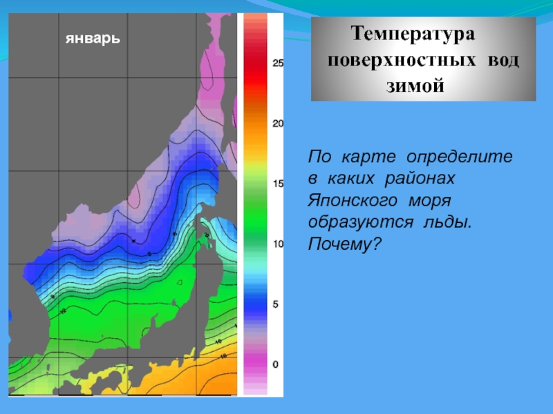 Карта температуры воды японское море