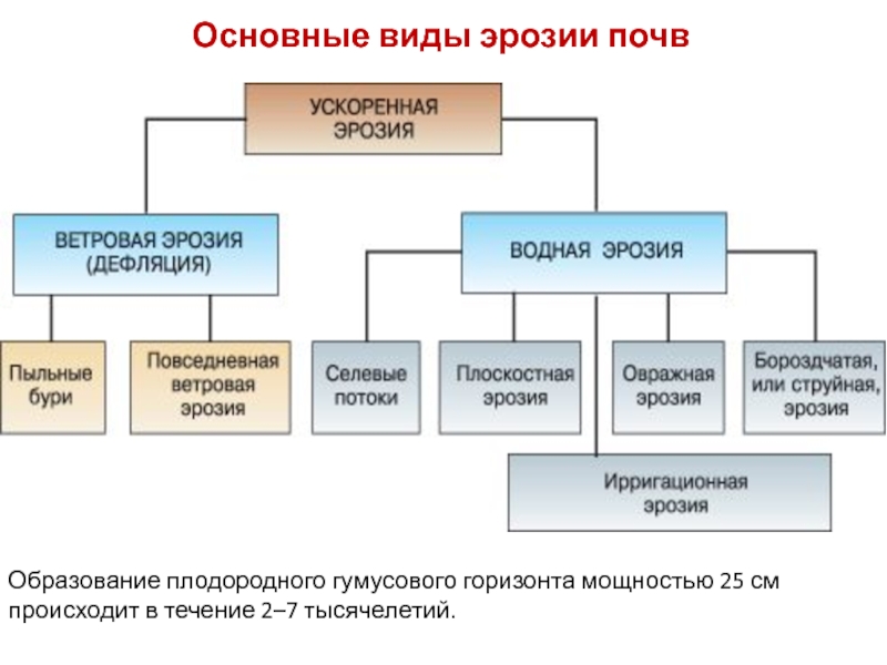 Виды эрозии